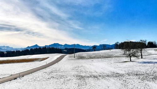 Beim Dobler - Foto 4