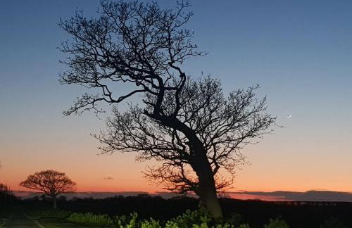 Curlew Cottage - Foto 20