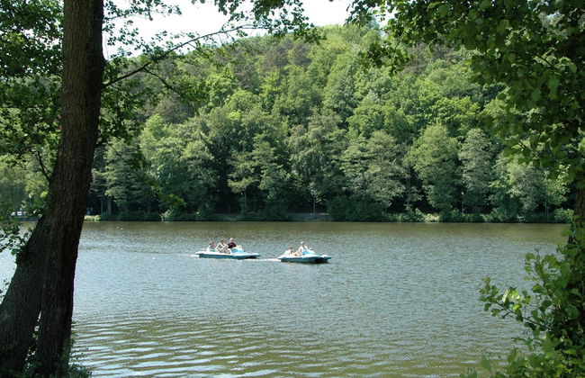 Beautiful Castle in Spa wit Garden - Photo 34
