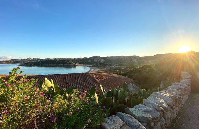 Maison Monte d A Rena - Photo 53