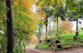 Carlotta Mountain Lake Iseo Hospitality - Photo 31
