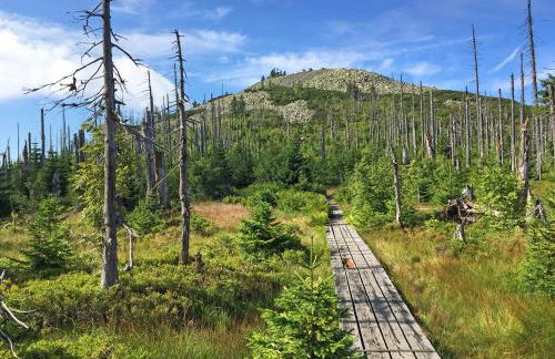 Ferienwohnung Fernblick - Foto 24