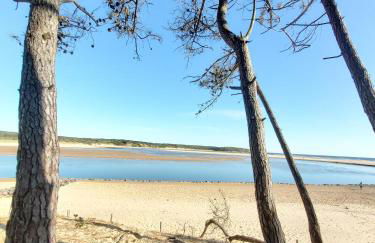 La maison de vacances en village ostréicole - Foto 20