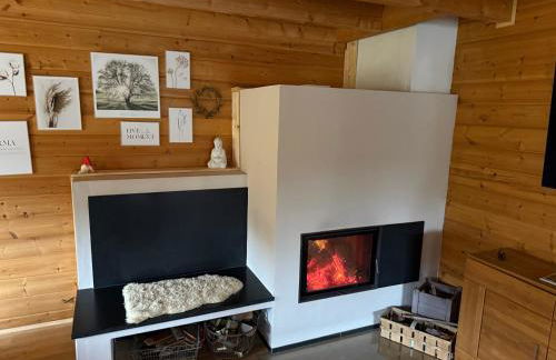 Blockbohlen HolzHaus mit Sauna, Outdoor Jacuzzi und BadeTeich - Foto 55