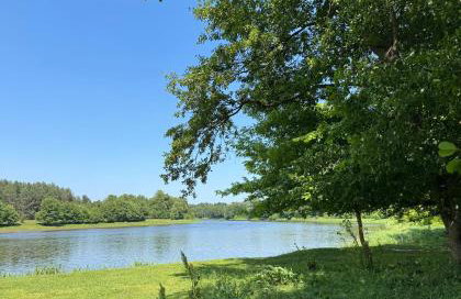 Leśne zacisze nad Narwią - Foto 3
