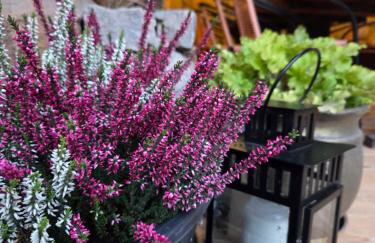 Ostoja Będzyn- Wypoczynek nad Pilicą - Foto 4