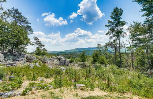 Secluded Mountain Cabin in Wardensville! - Foto 41