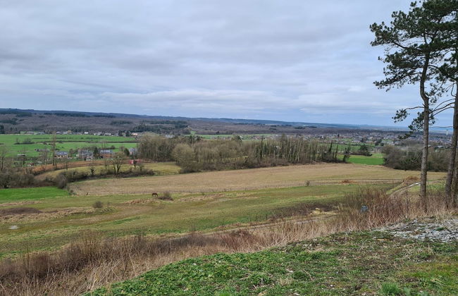 Cozy Family Home in Humain - Photo 28