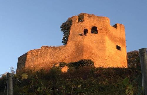 Apartment Kaminblick EuropaPark in ca 15 min erreichbar - Foto 53