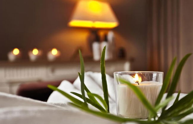 Palac Mala Wies - Foto 19