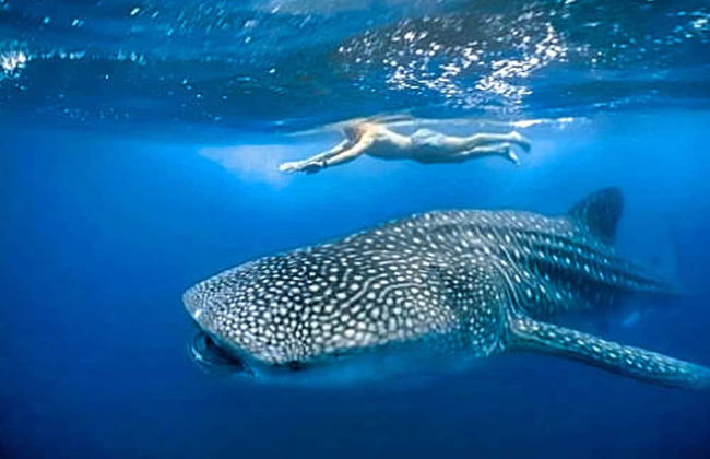 Location Location Location Best Beachfront Spot in El Cuyo With Stunning Views - Photo 11