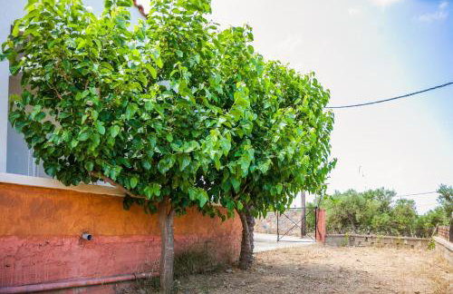 Tranquility House - Foto 29