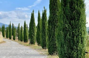 Podere Montale Winery - Foto 61