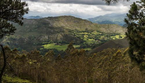 Bajo Los Tilos - Foto 4