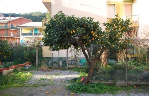 Tinetto Brezza di mare - Foto 25