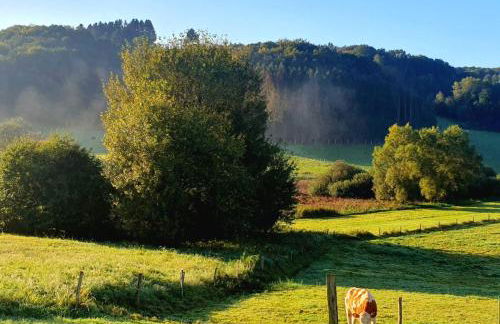 Gästehaus Jolie Losheim am See - Foto 55