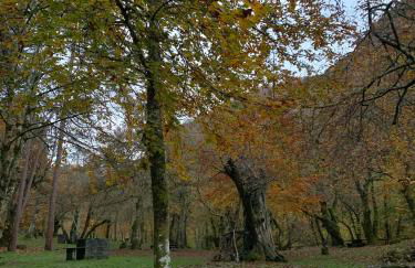 La Nozaleda - Foto 12