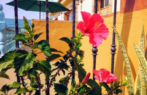 Apartamentos San Jose - Foto 46