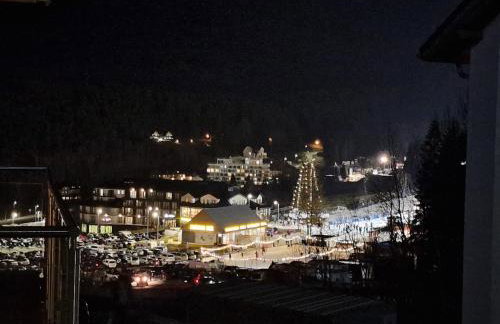 Czarna Góra Apartament 319 - Foto 50