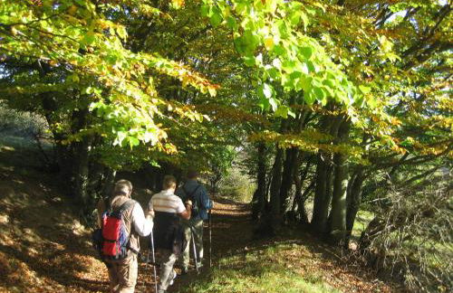 Ferienwohnung Panorama - Foto 45