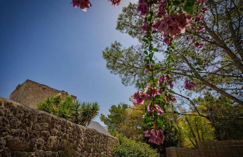 Torre Casciani - Foto 74