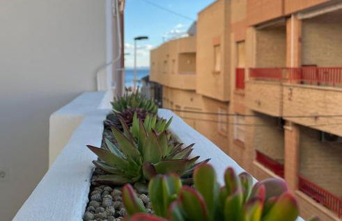 Apartamento La Marina Azul el Puerto de Lo Pagan - Foto 7