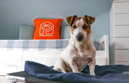 La Casa di Pamy - Foto 23