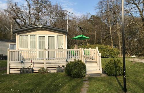 Poppy at Oakdene Forest Park - Foto 19