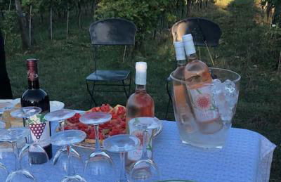 Salceta, a Tuscany Country House - Photo 35