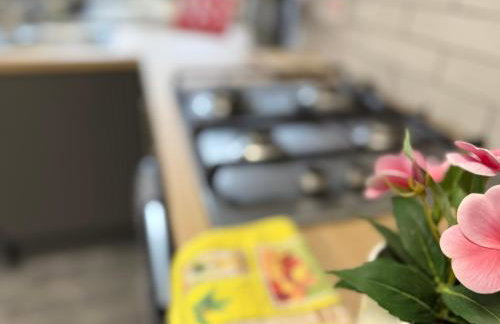 Brand New Lovely Flats by the Forest Tram Stop in Nottingham - Foto 38