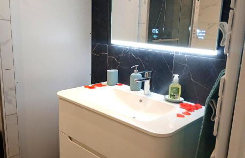 La Parenthèse Impériale Gare à 300 m Balnéo Sauna - Foto 21