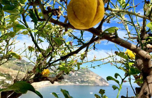 Villa Egidio - Foto 19