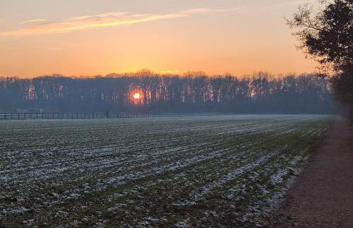 Nikis FeWo an den Dörenther Klippen - Foto 51