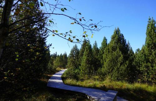 Ferienhaus am Erzgebirgskamm - Foto 33