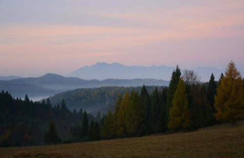 Domek na Obidzy - Foto 37