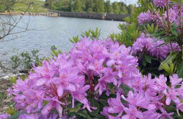 Walkers Retreat with garden and views - Photo 33