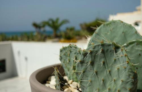 U scrusciu du mari - Casuzze SeaSound Holidays - Foto 24