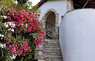 Mount Minis - Casa Bruno - Foto 26