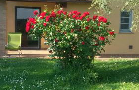 Agriturismo L'isola - Foto 14