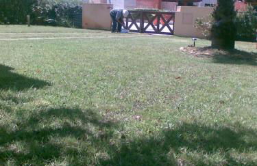 Praia de Mira casa de vacaciones, un paraíso de paz - Foto 24