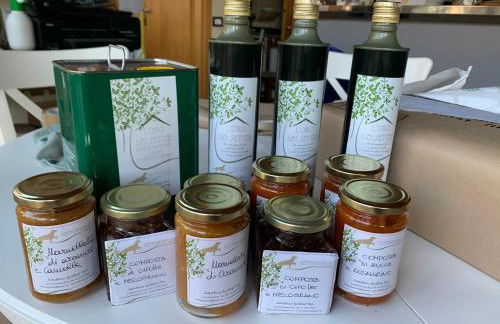 SetterHouseAgriHotel - Photo 74