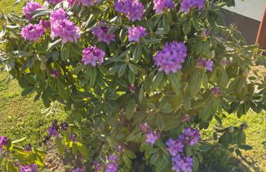 Erholung im Westerwald ! - Foto 22