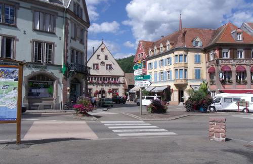 l'ecureuil - Foto 19