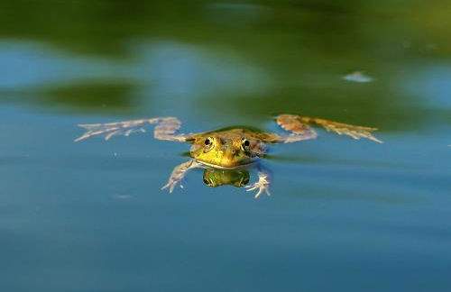 Chão do Rio - Turismo de Aldeia - Foto 11