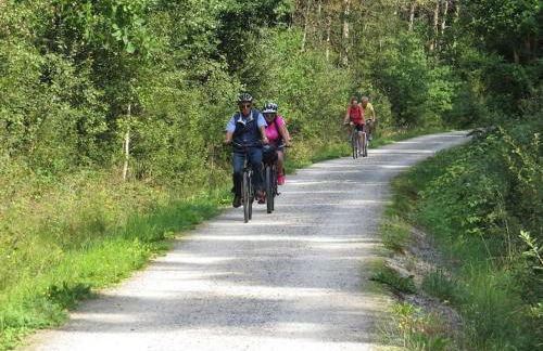 Ferienwohnung Mia - Foto 58