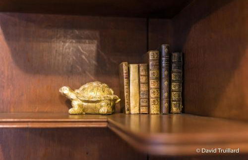 Suites Mana- Studio Art Ducal avec Terrasse sur l'arrière de la Place Ducale Parking inclus - Foto 17