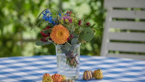 Ferienwohnung Kutscherstube - Foto 5, Garden view