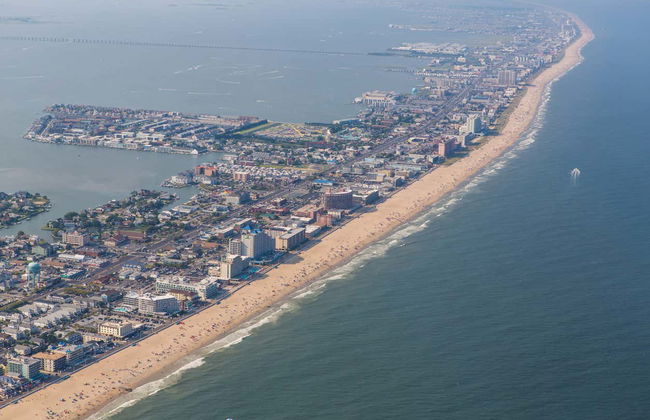 Observation de dauphins à Ocean City - Photo 6