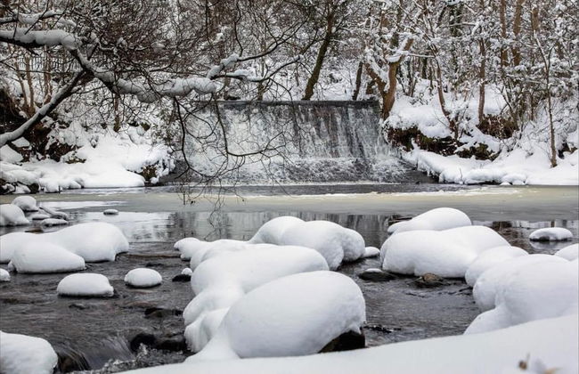 Historic Old Town 2 Bed Ground Floor Apartment - Foto 35