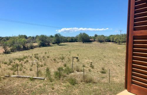 Finca Can Alba - Photo 7